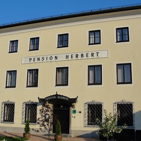 Hotel Pension Herbert Σάλτσμπουργκ Εξωτερικό φωτογραφία